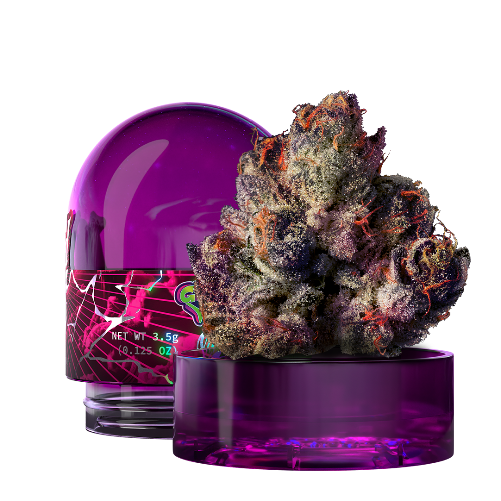 Wiward Trees New Yorker