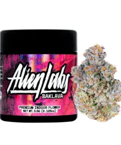 Buy Alien Labs baklava