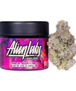 Buy Alien Labs baklava