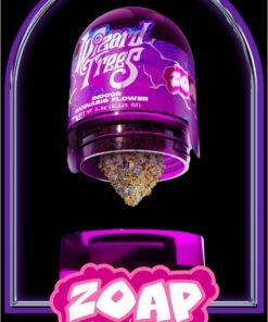 Buy Wizard Trees Zoop