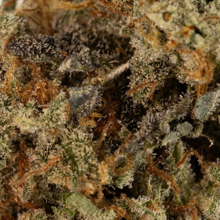 CHERRY DIESEL Weed